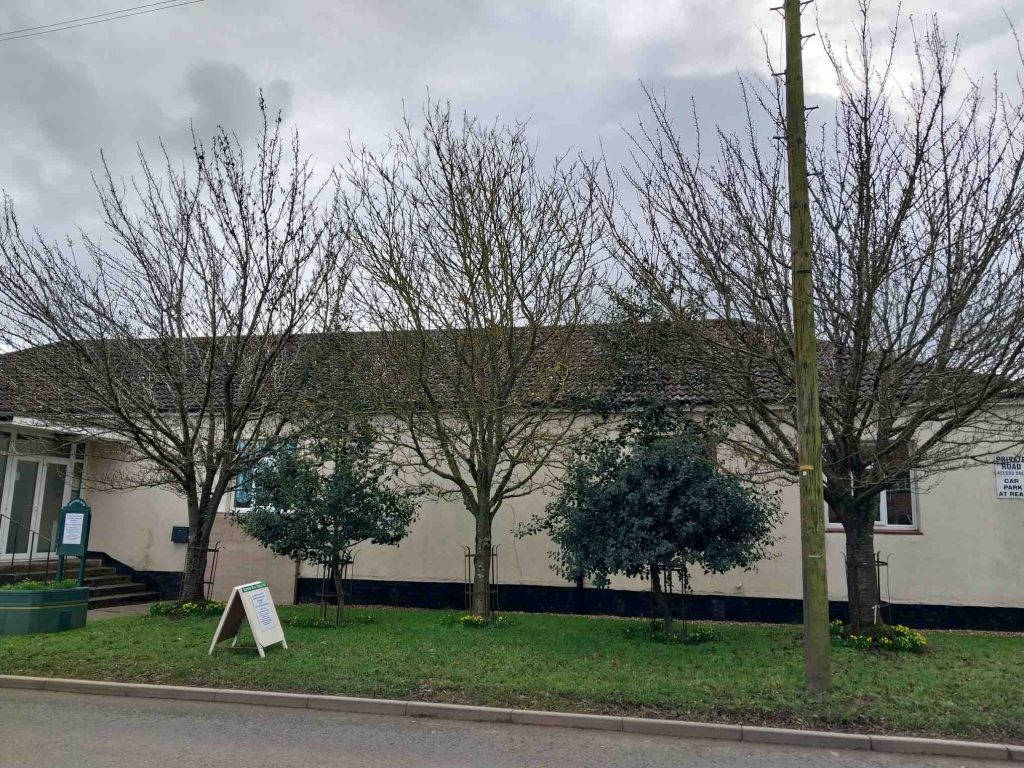 Trees outside the Hall